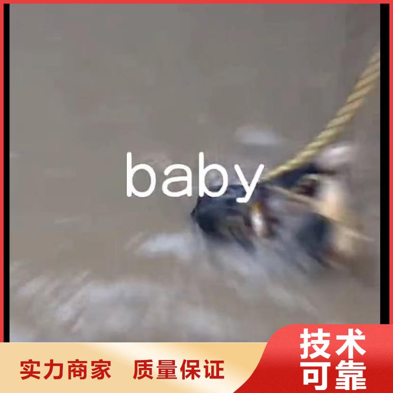 邢臺(tái)蛙人服務(wù)歡迎下單