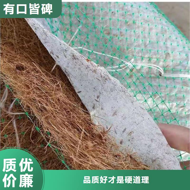 椰纤植生毯生态环保草毯当地经销商