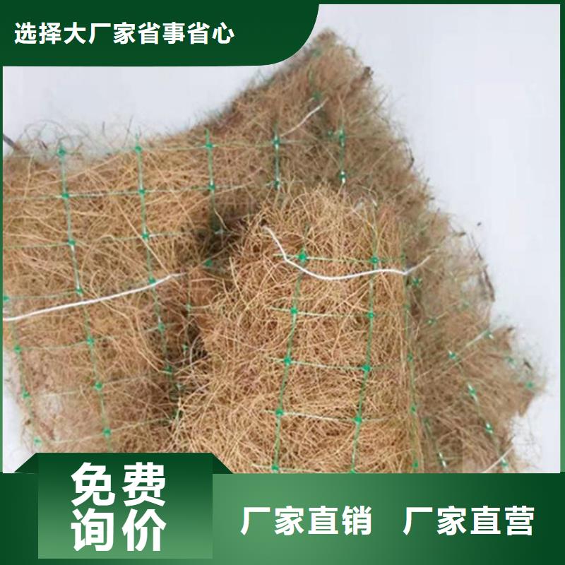 椰纤植生毯支持定制