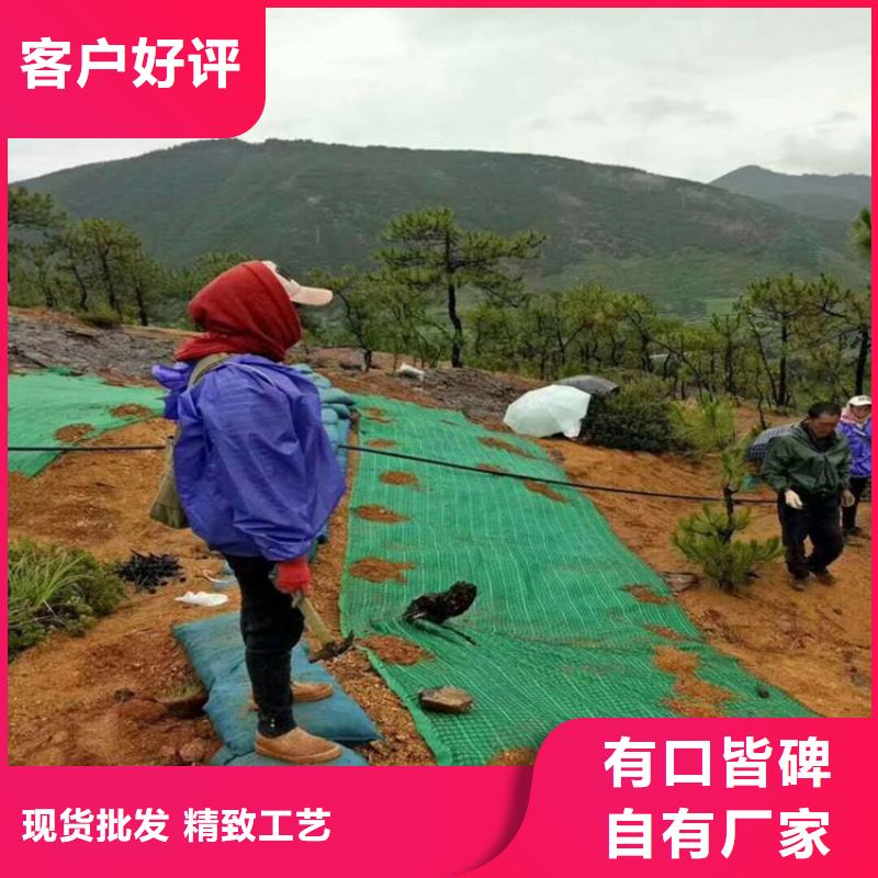 植物纤维毯厂家-公司供应专业生产制造厂