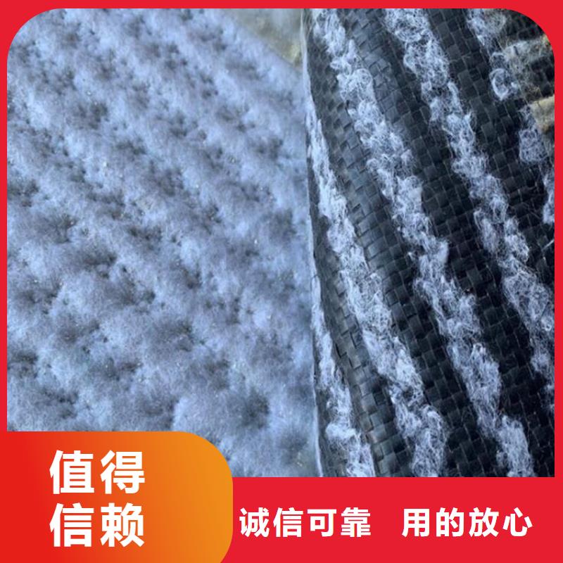 膨潤土防水毯【塑料格柵】好品質(zhì)選我們本地供應(yīng)商