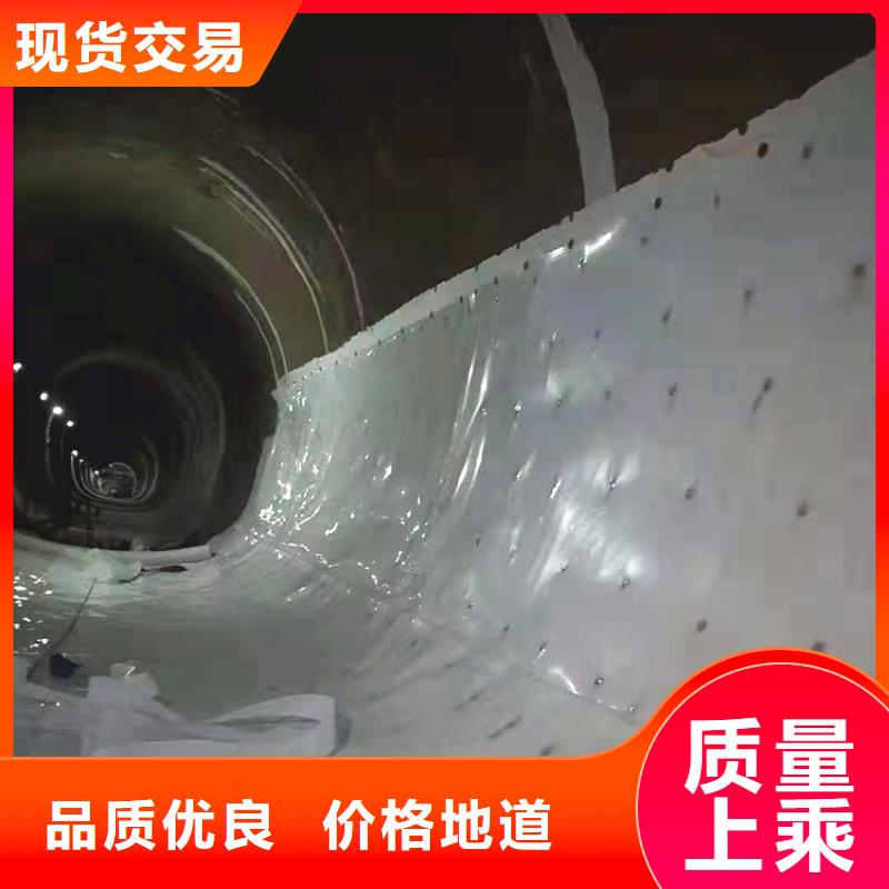 防水板HDPE土工膜精益求精【本地】生产商