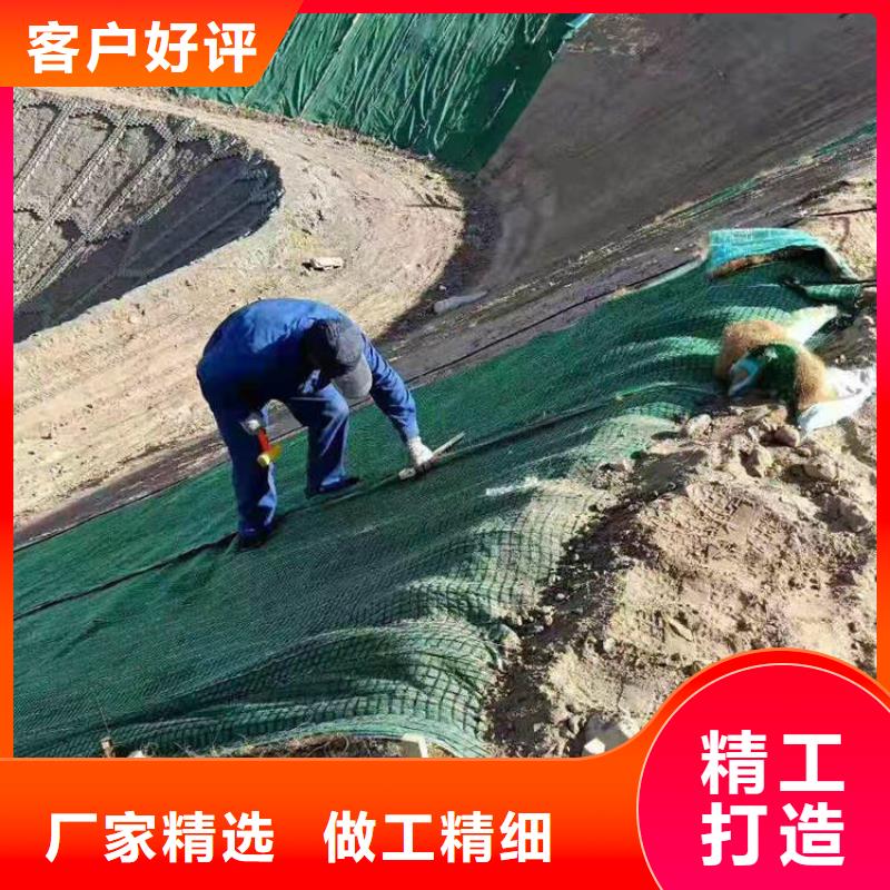 边坡植被垫-抗冲椰丝毯符合行业标准