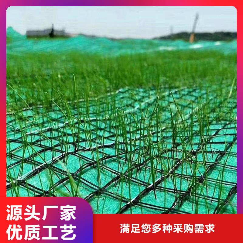 植物生态防护毯追求品质