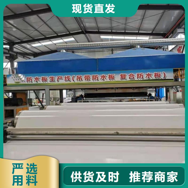 防水板塑料土工格柵源頭廠家直銷廠家直銷售后完善