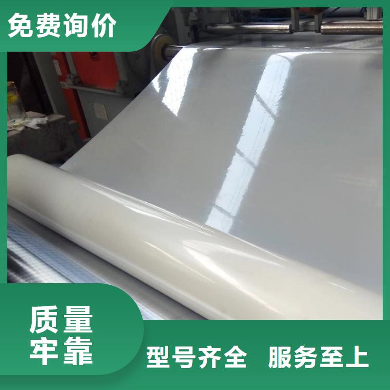 防水板土工格柵專業(yè)生產(chǎn)團(tuán)隊(duì)