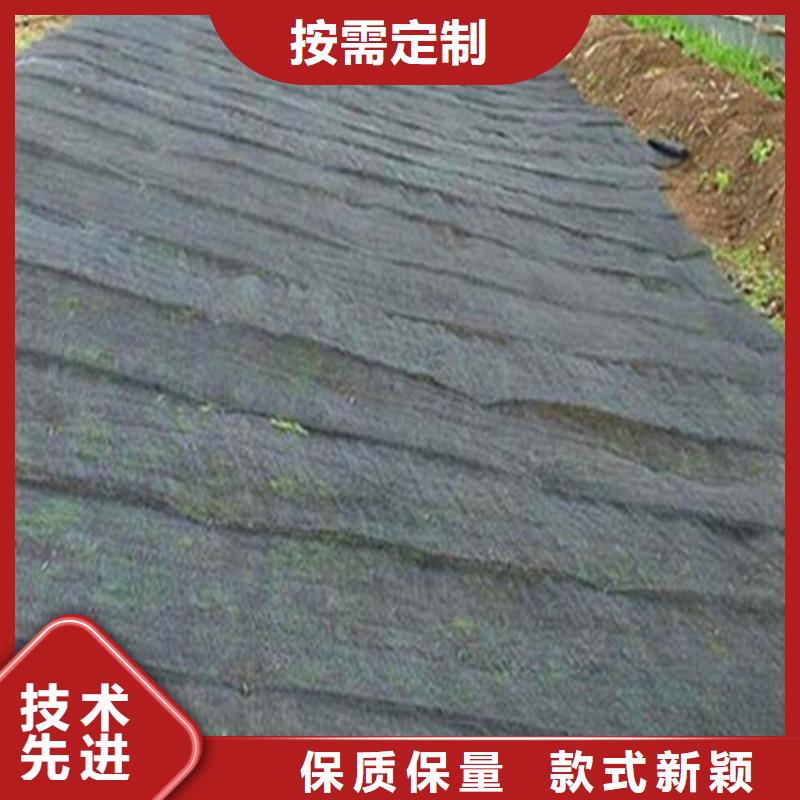 水土保護(hù)毯機(jī)織布海量現(xiàn)貨好產(chǎn)品好服務(wù)
