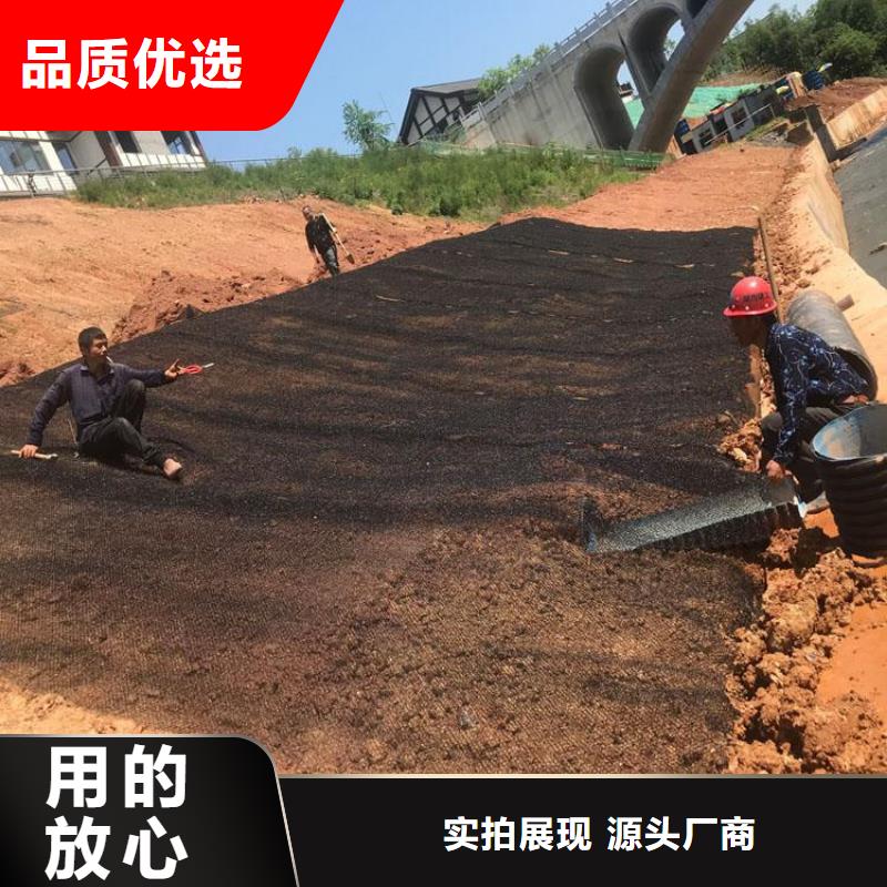 水土保護(hù)毯【玻璃纖維土工格柵】庫(kù)存量大同城經(jīng)銷商