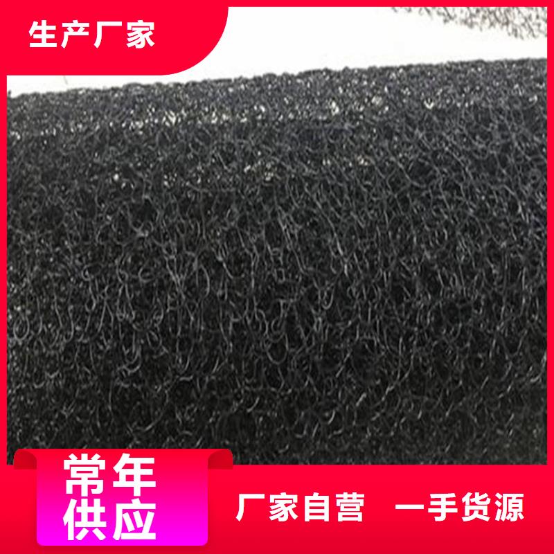 三明水土保護(hù)毯雙向塑料土工格柵貨到付款