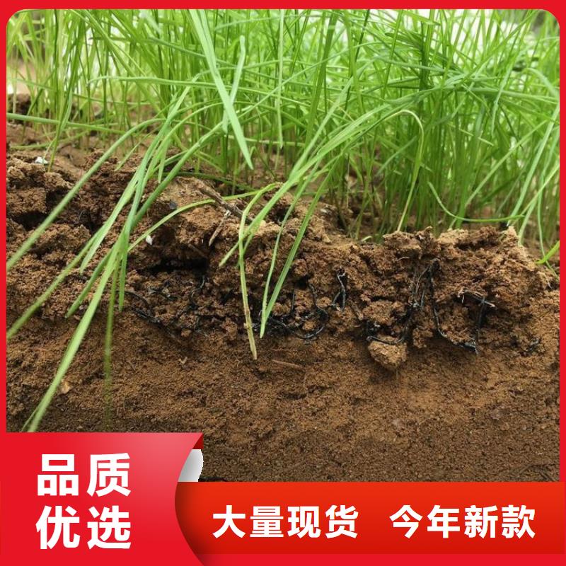 水土保护毯_【涤纶格栅】工厂现货供应现货充足