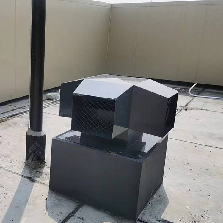 排氣道防倒灌風(fēng)帽可來圖定制