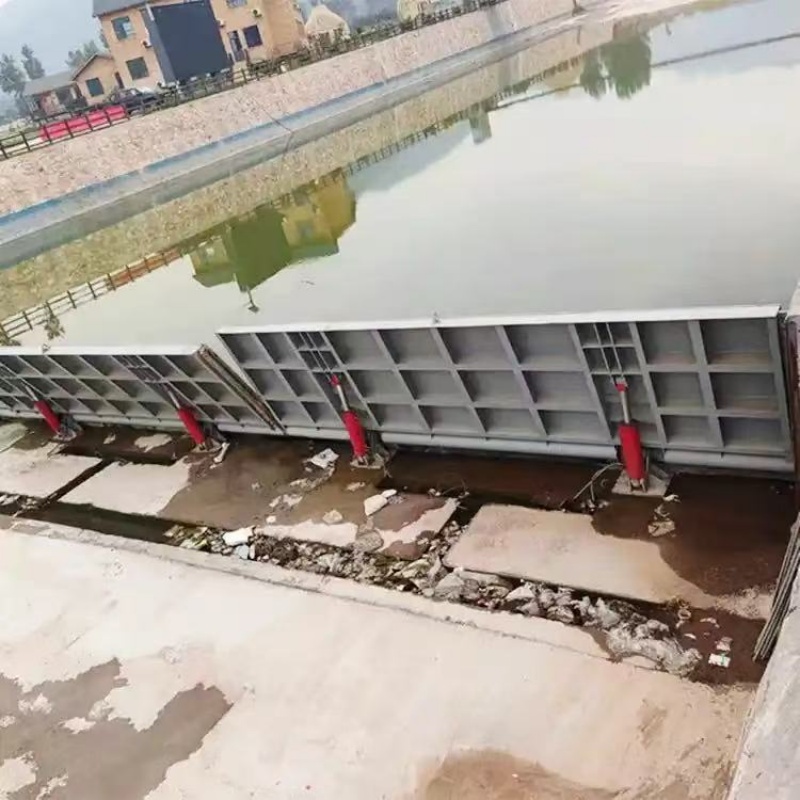 翻板閘門高質(zhì)量高信譽(yù)