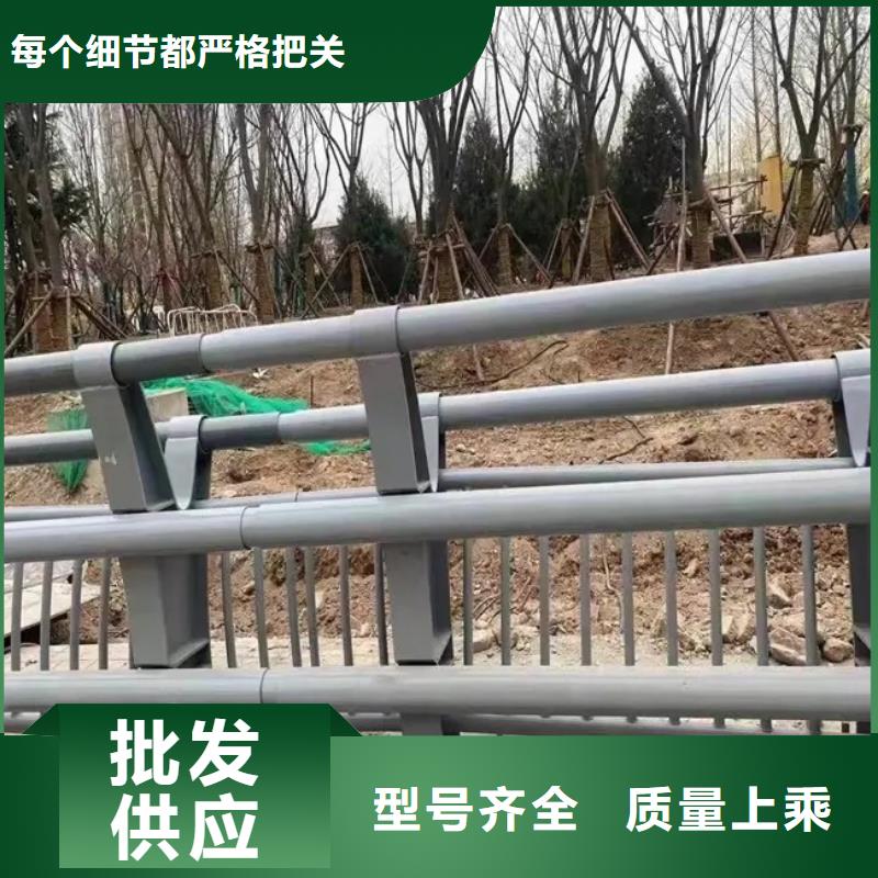 河道景观护栏不锈钢桥梁两侧防护栏敢与同行比服务当地服务商