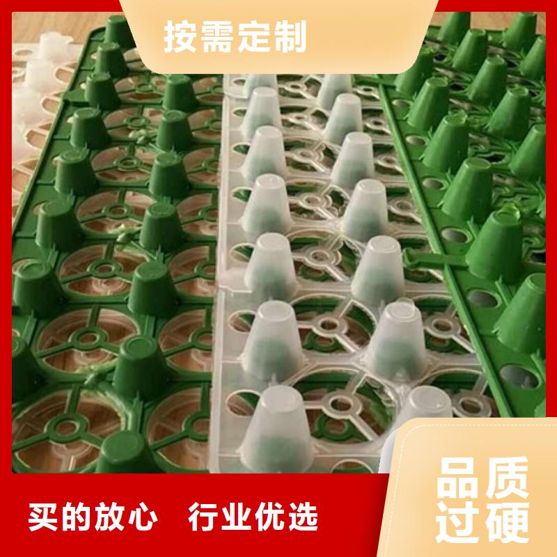 排水板植草格规格型号全厂家直营