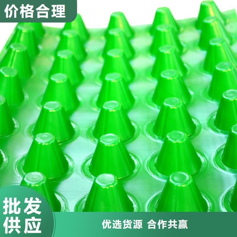 丹東塑料排水板放心購買