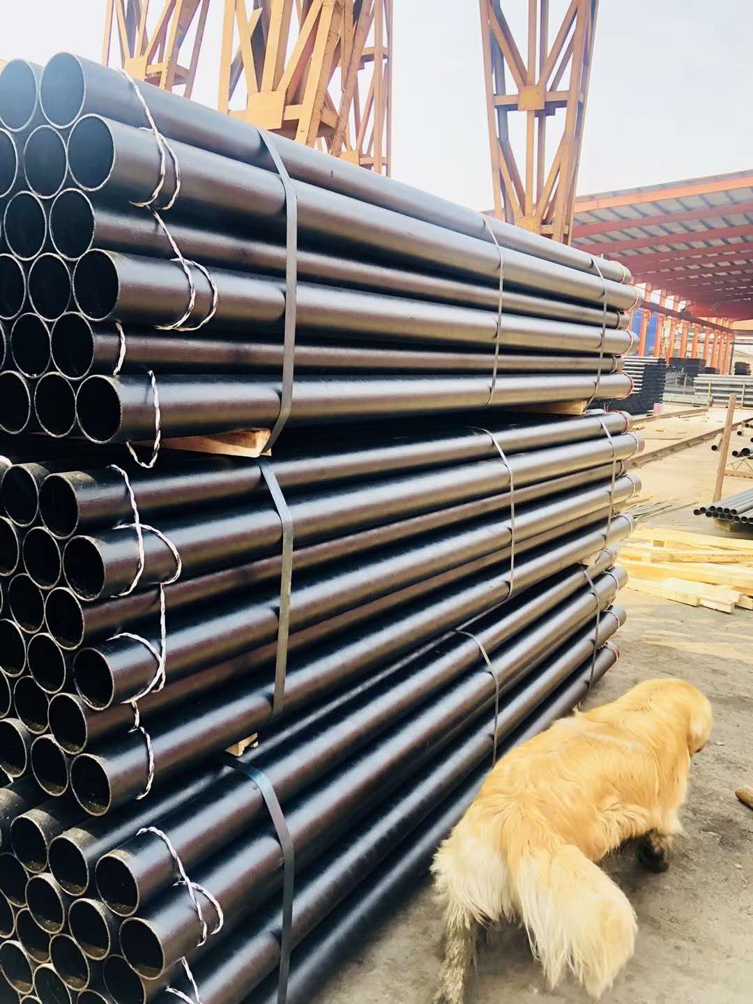 dn75鑄鐵網(wǎng)框地漏原裝現(xiàn)貨