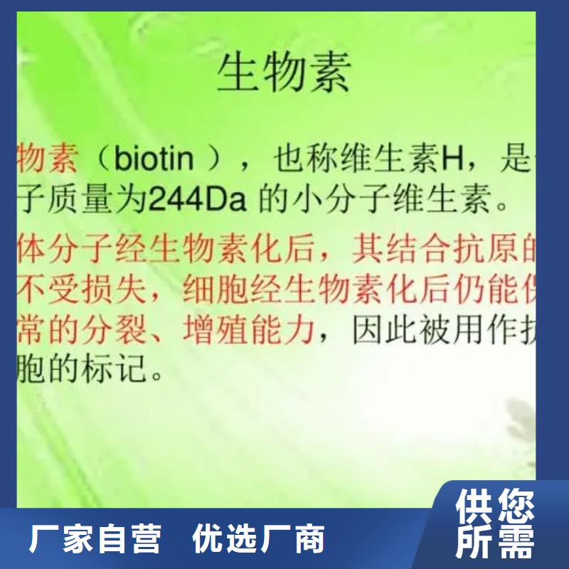 维成素B7厂家物美价优