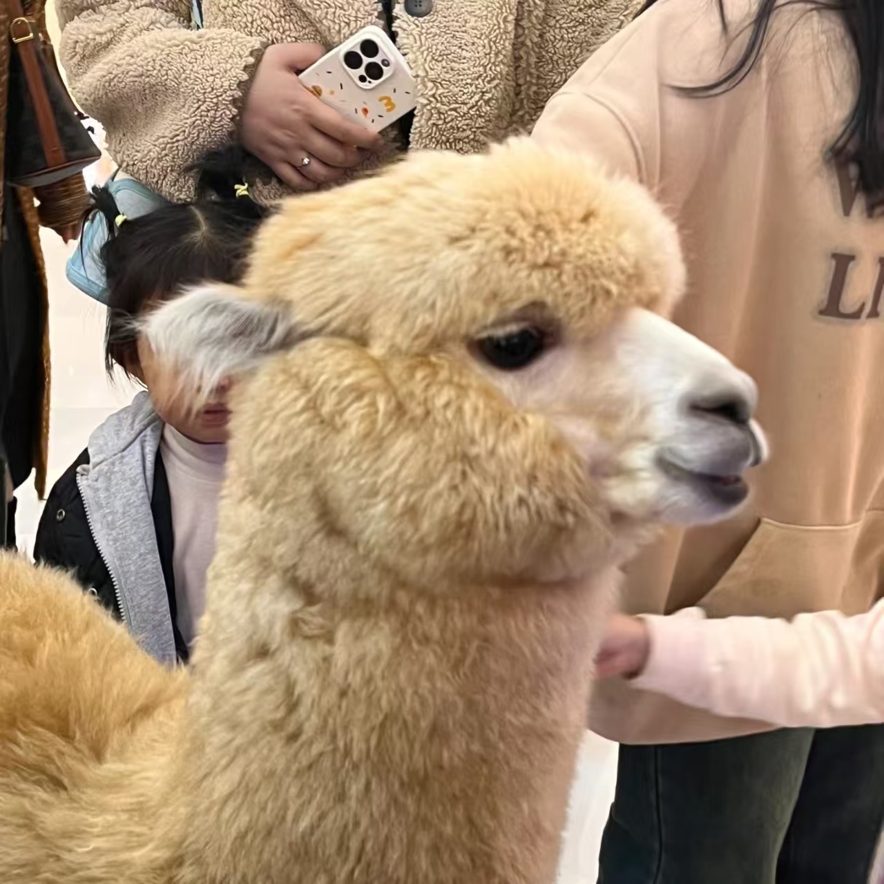 商場暖場活動-商場暖場活動質(zhì)優(yōu)價廉