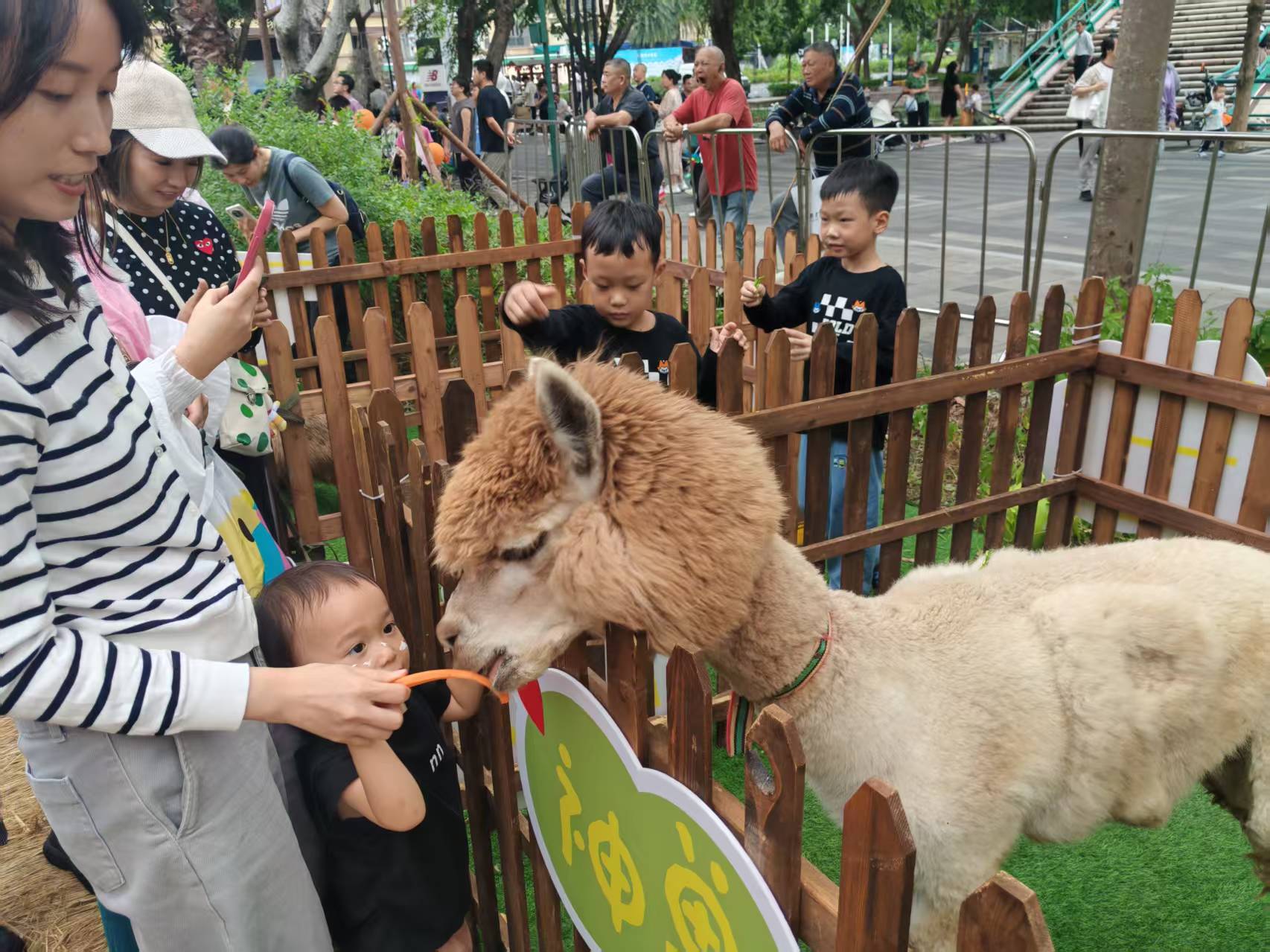 萌寵出租價(jià)格美麗