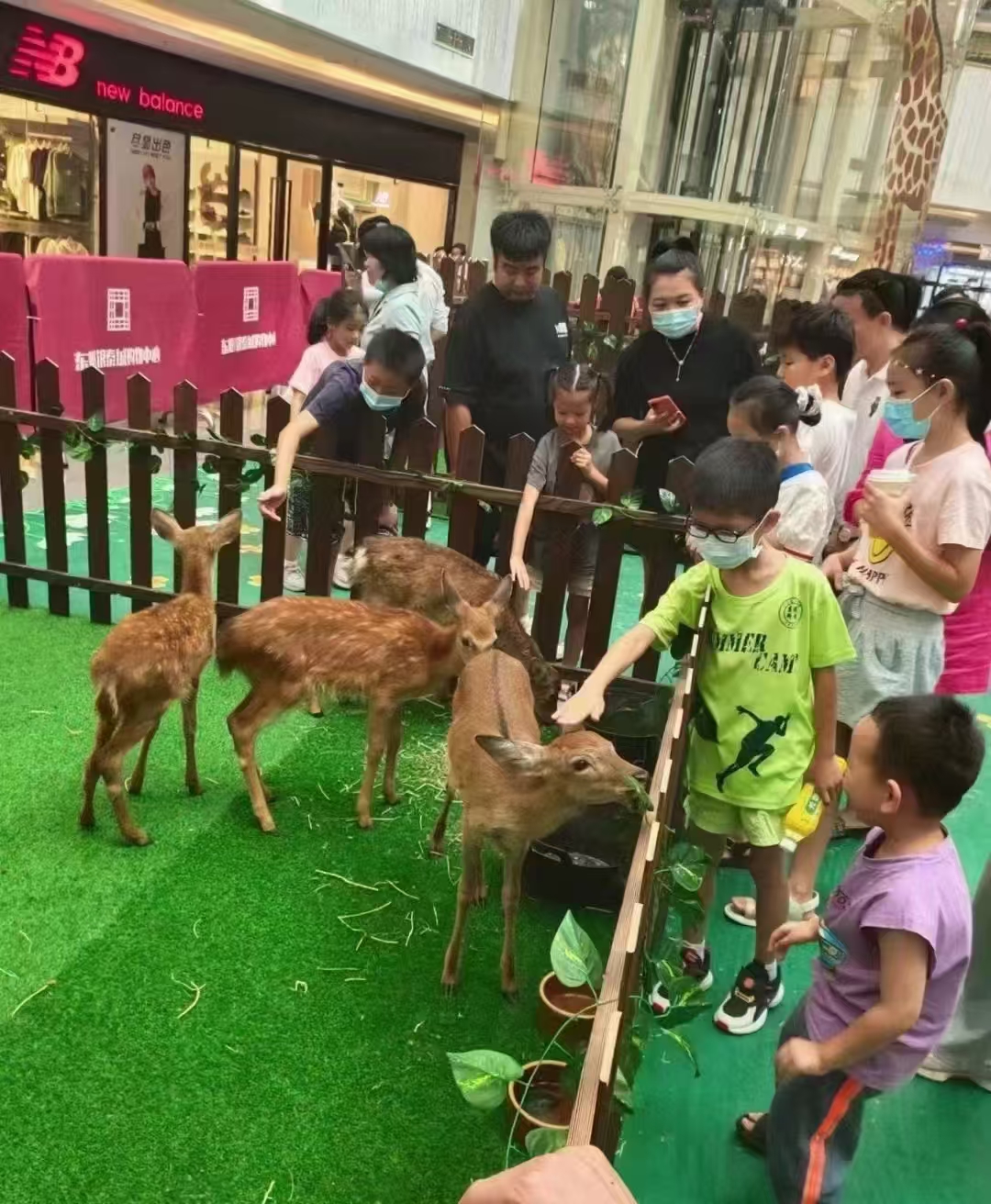 商場(chǎng)暖場(chǎng)活動(dòng)廠家-漢中鎮(zhèn)巴