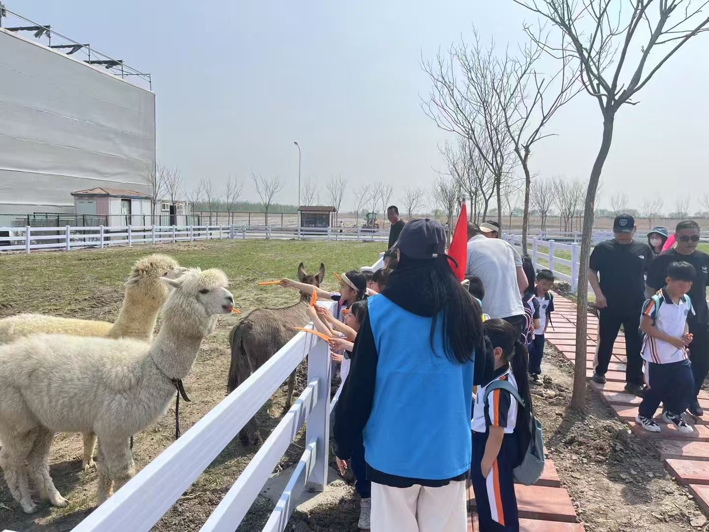 岳陽君山萌寵出租-精選廠家