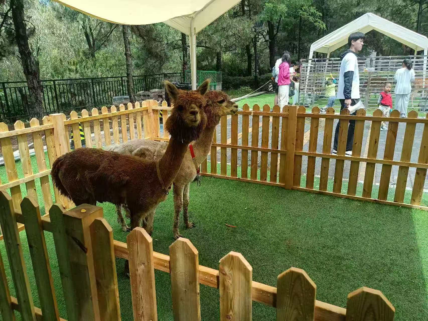 【圖】贛州大余景區(qū)活動廠家批發(fā)