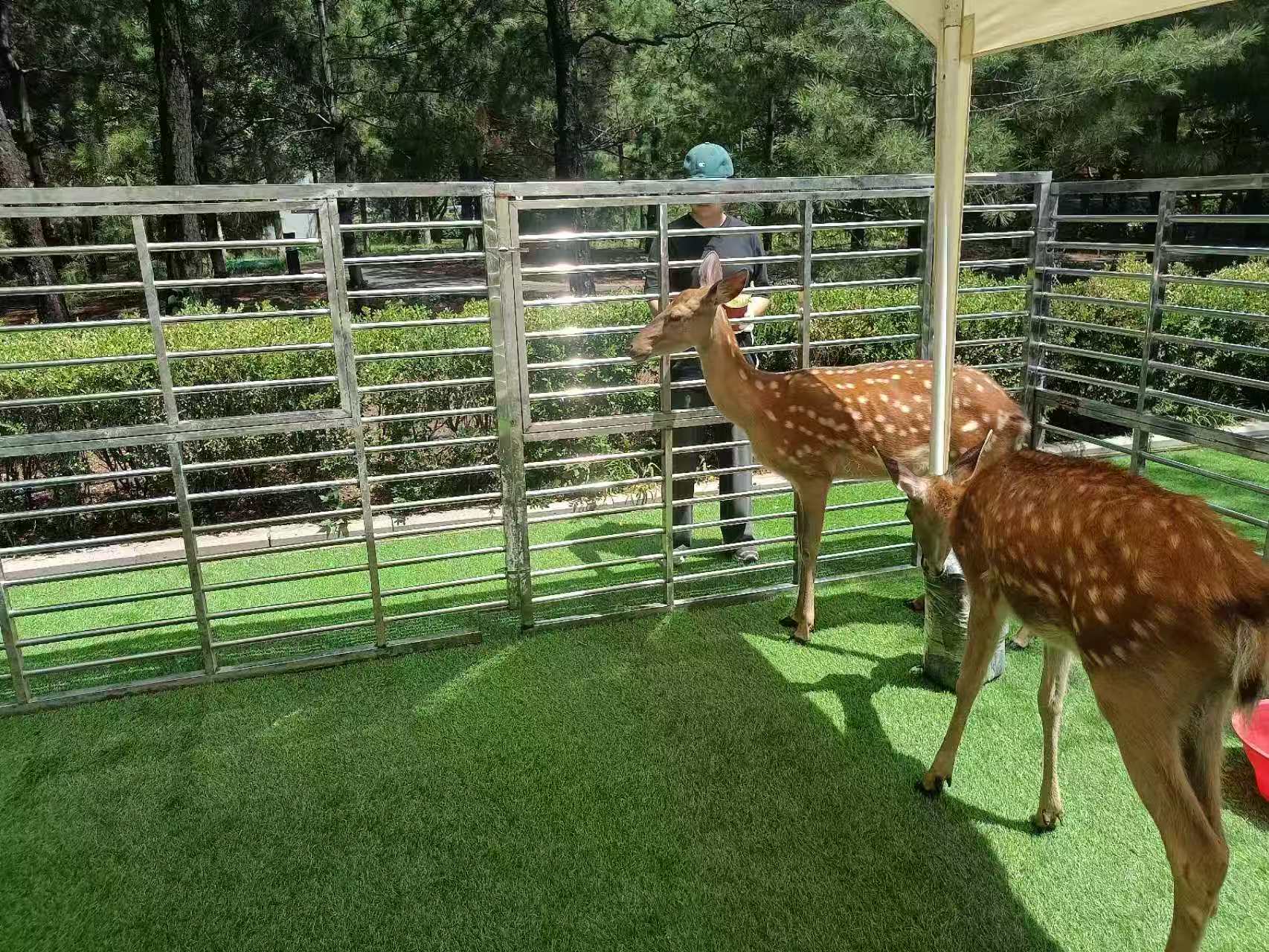 景區(qū)活動(dòng)-質(zhì)量可靠