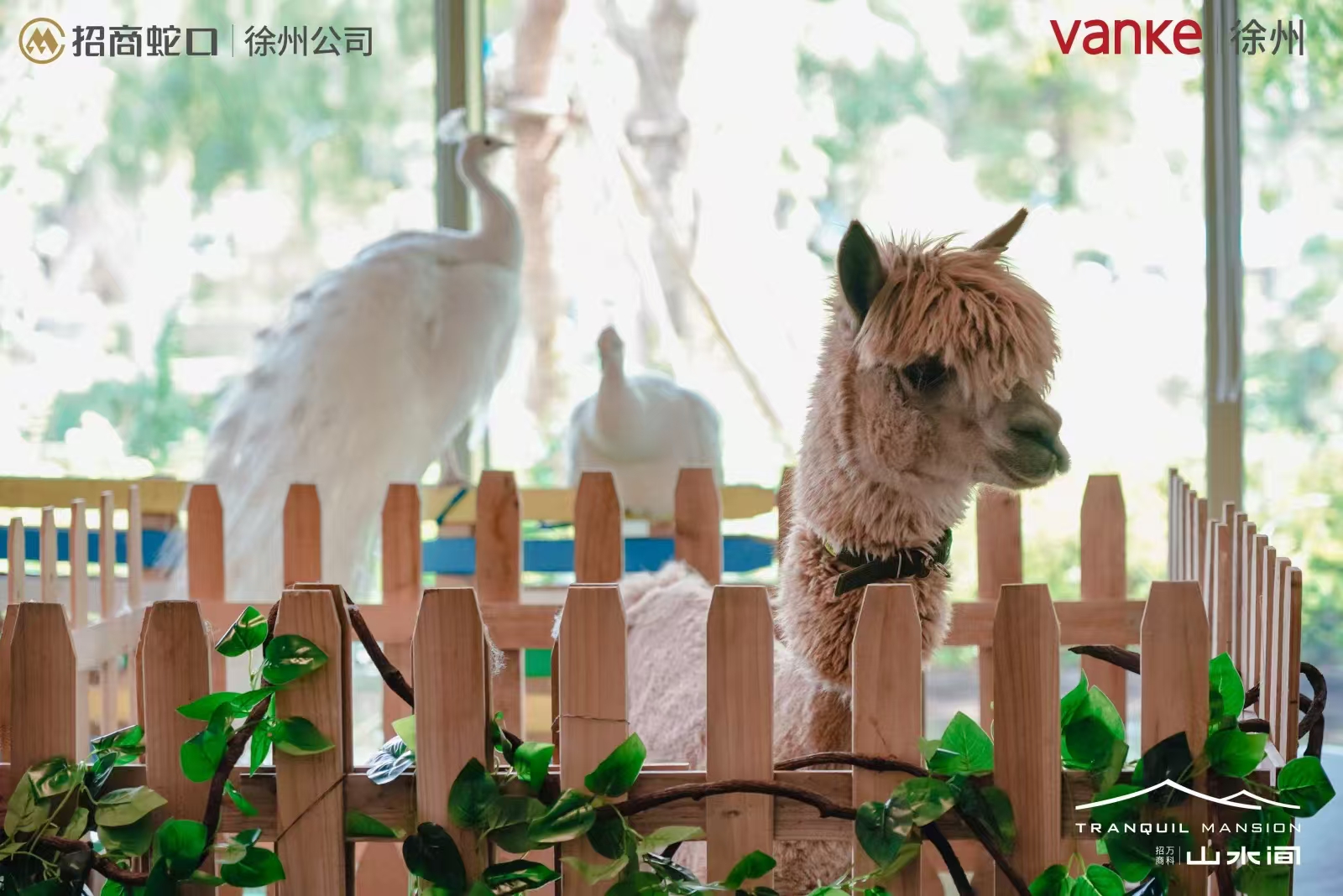 南京景區(qū)活動品牌供應(yīng)商