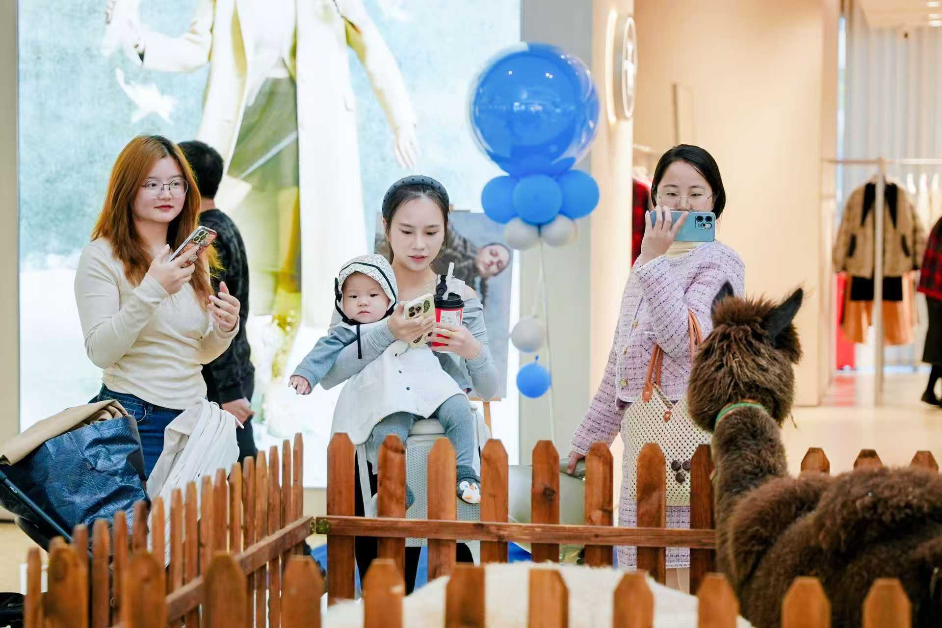 巴中平昌小矮馬百看不如一問