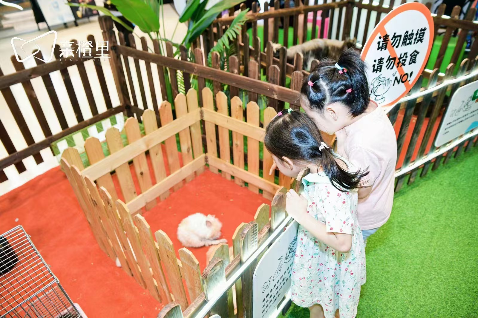 發(fā)貨及時(shí)的運(yùn)城鹽湖商場暖場活動公司