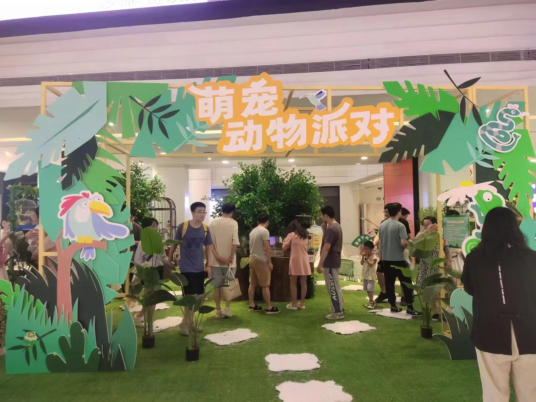 黔東南矮馬出租貨到付款