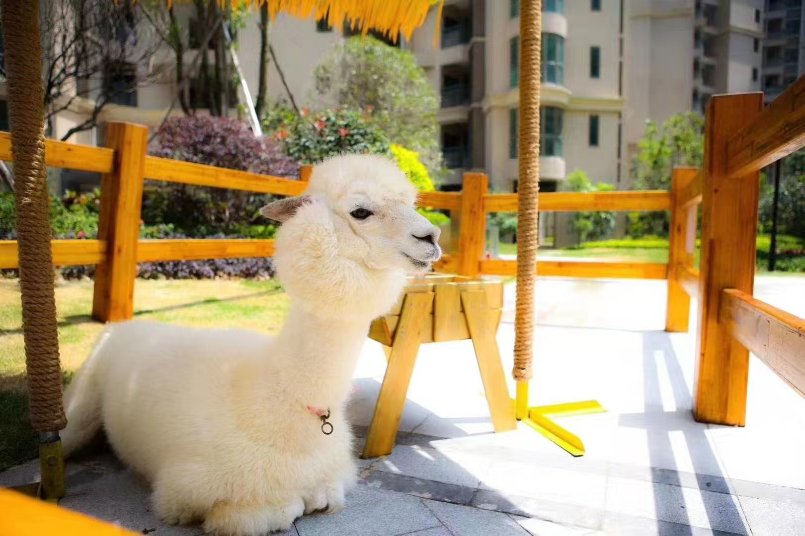 商場暖場活動-商場暖場活動質(zhì)優(yōu)價廉