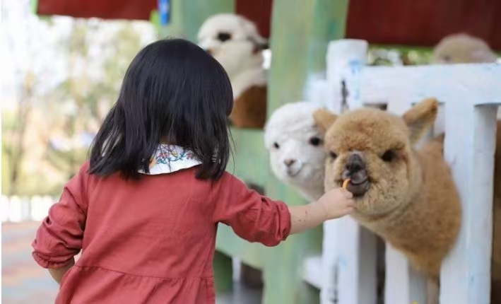 吉林磐石供應(yīng)批發(fā)商場暖場活動-省心