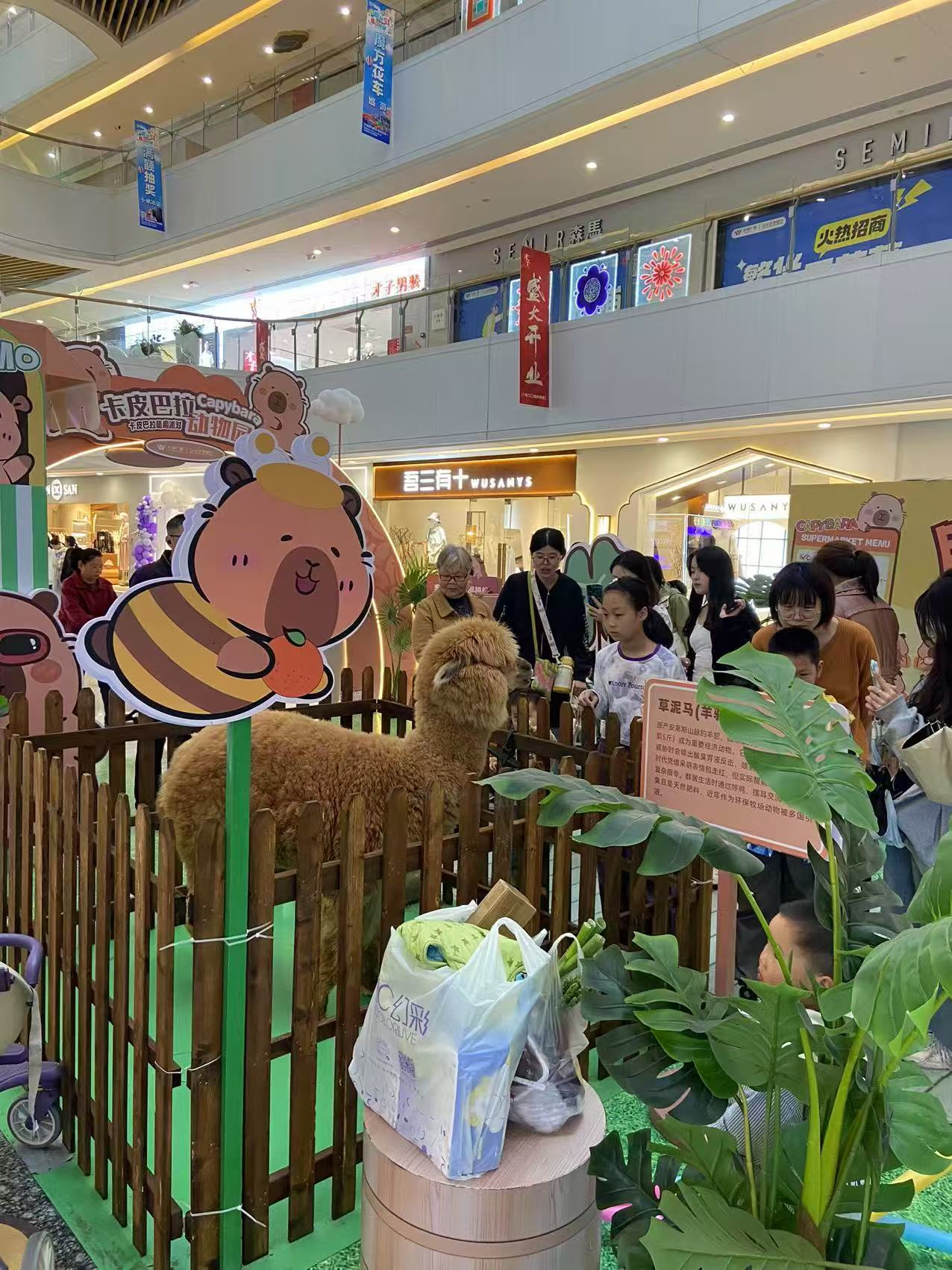 延邊琿春商場暖場活動生產(chǎn)、運輸、安裝