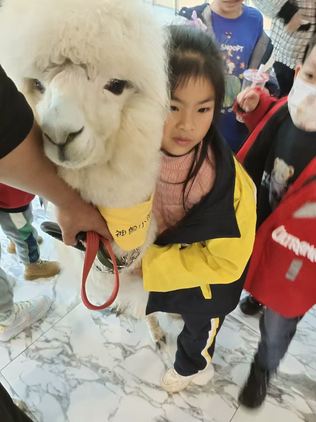 口碑好的萌寵出租生產(chǎn)廠家