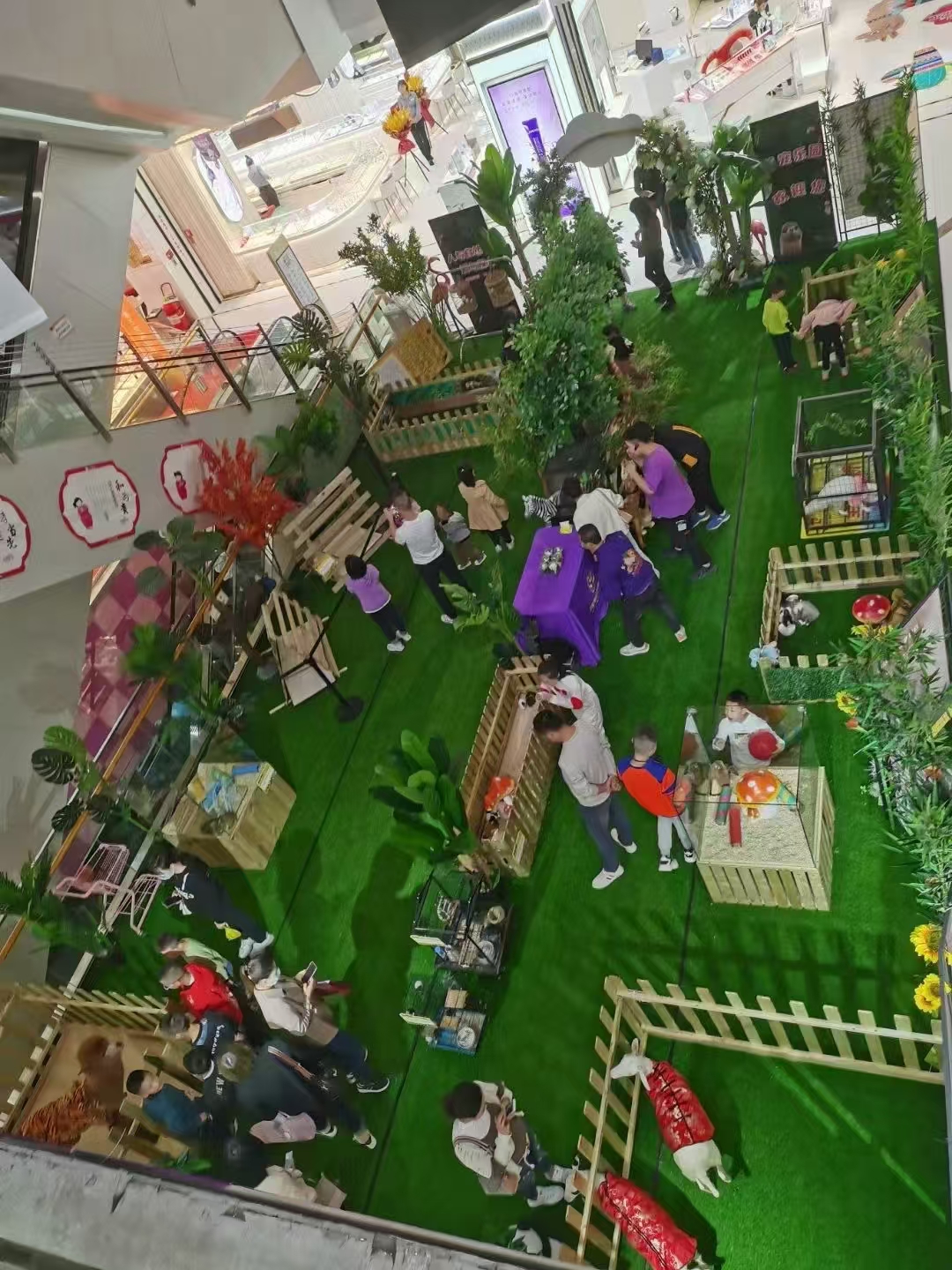 萌寵出租全國銷售點(diǎn)