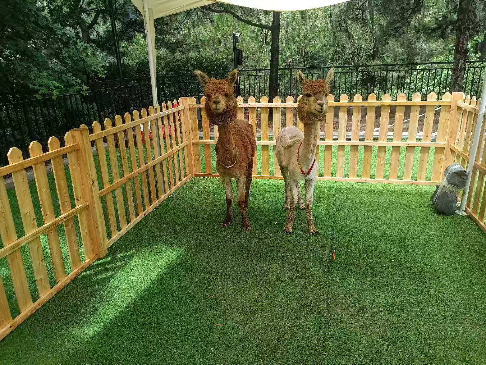 商場暖場活動生產(chǎn)定制