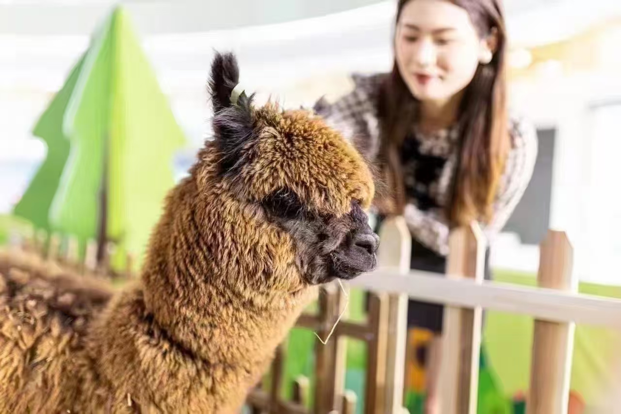 萌寵出租全國銷售點(diǎn)