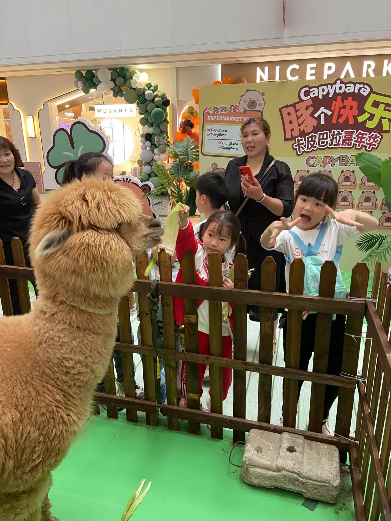 晉中介休梅花鹿出租制造商