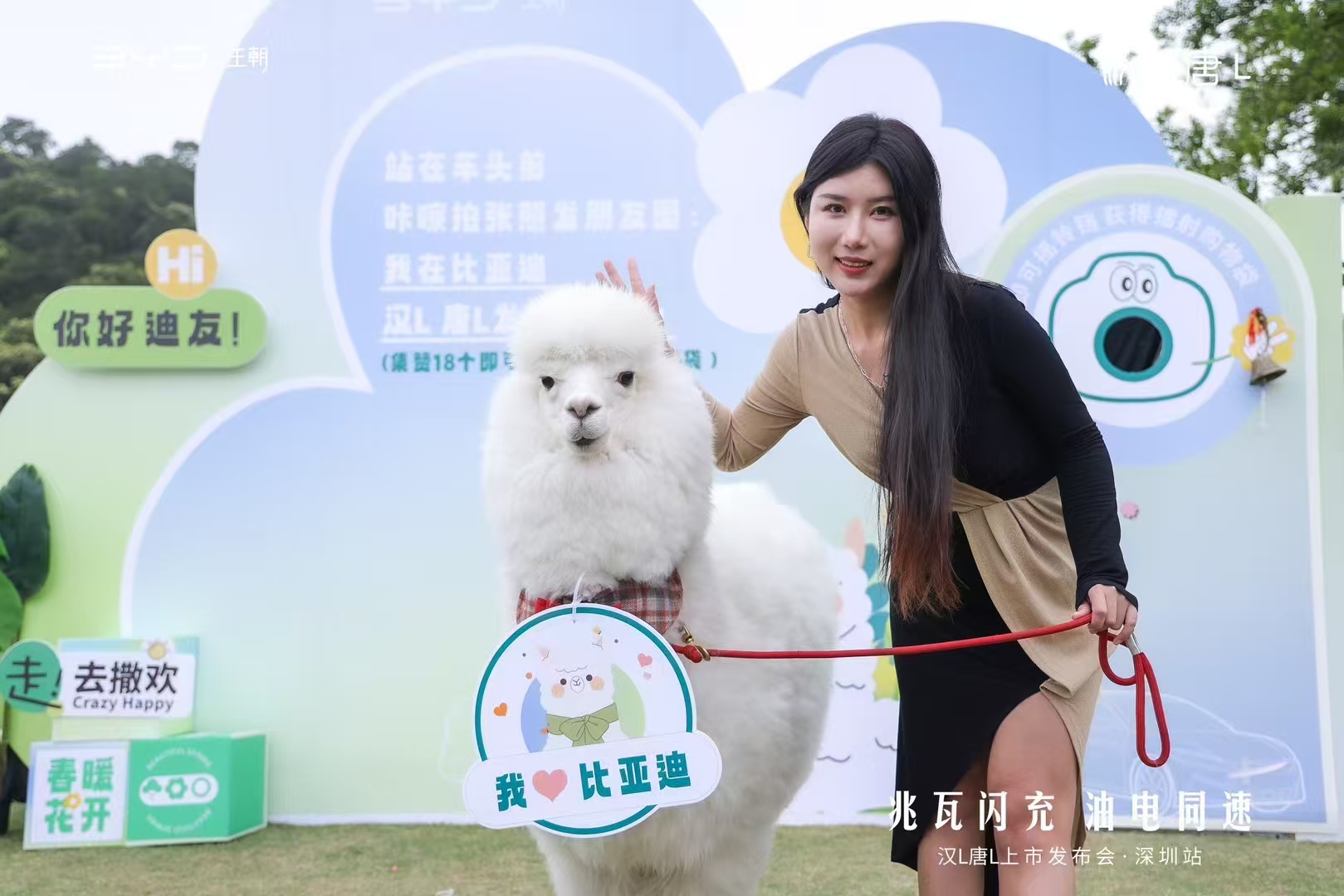 鄭州二七萌寵出租批發(fā)零售-定做_兮洋動(dòng)物展覽有限公司