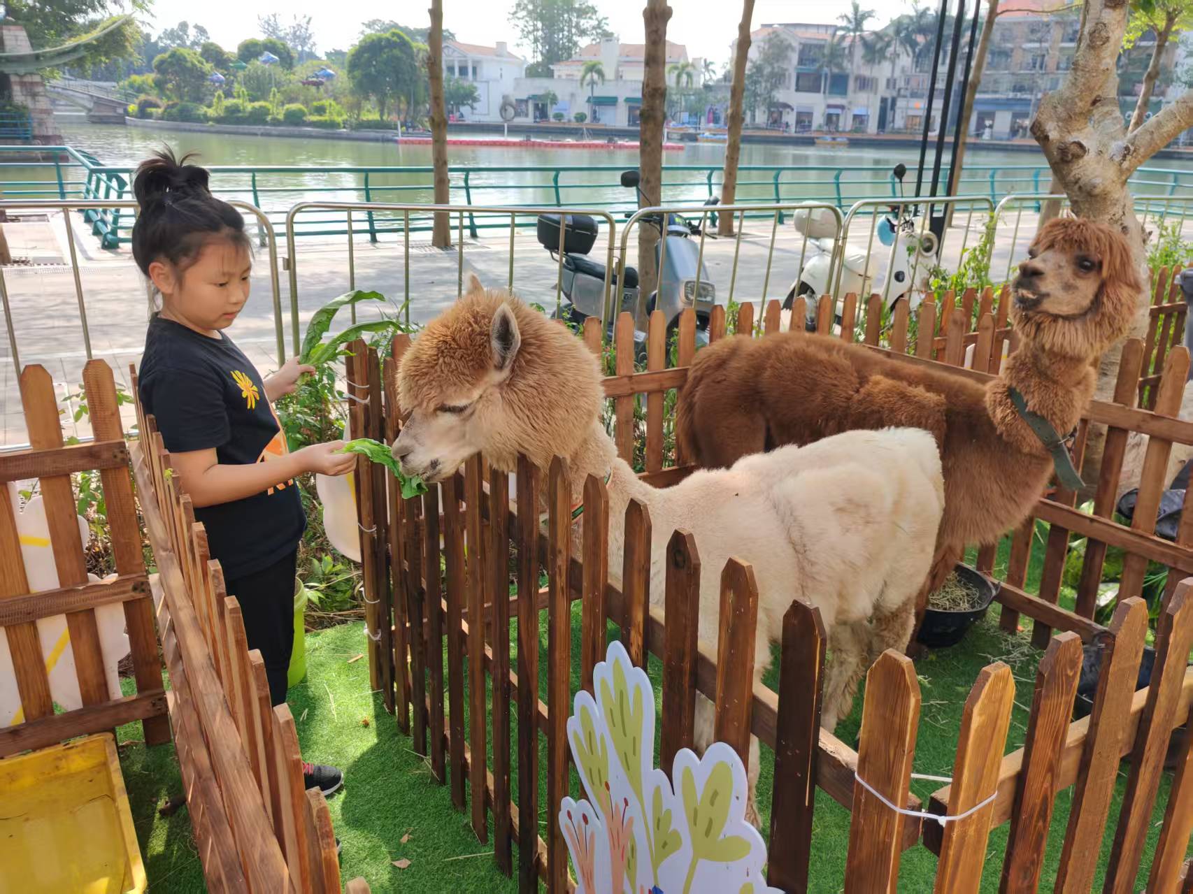 商場暖場活動生產(chǎn)定制