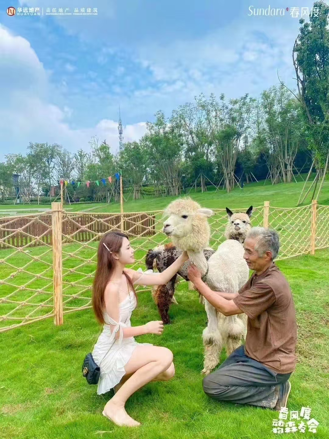 上饒橫峰馬年制造商