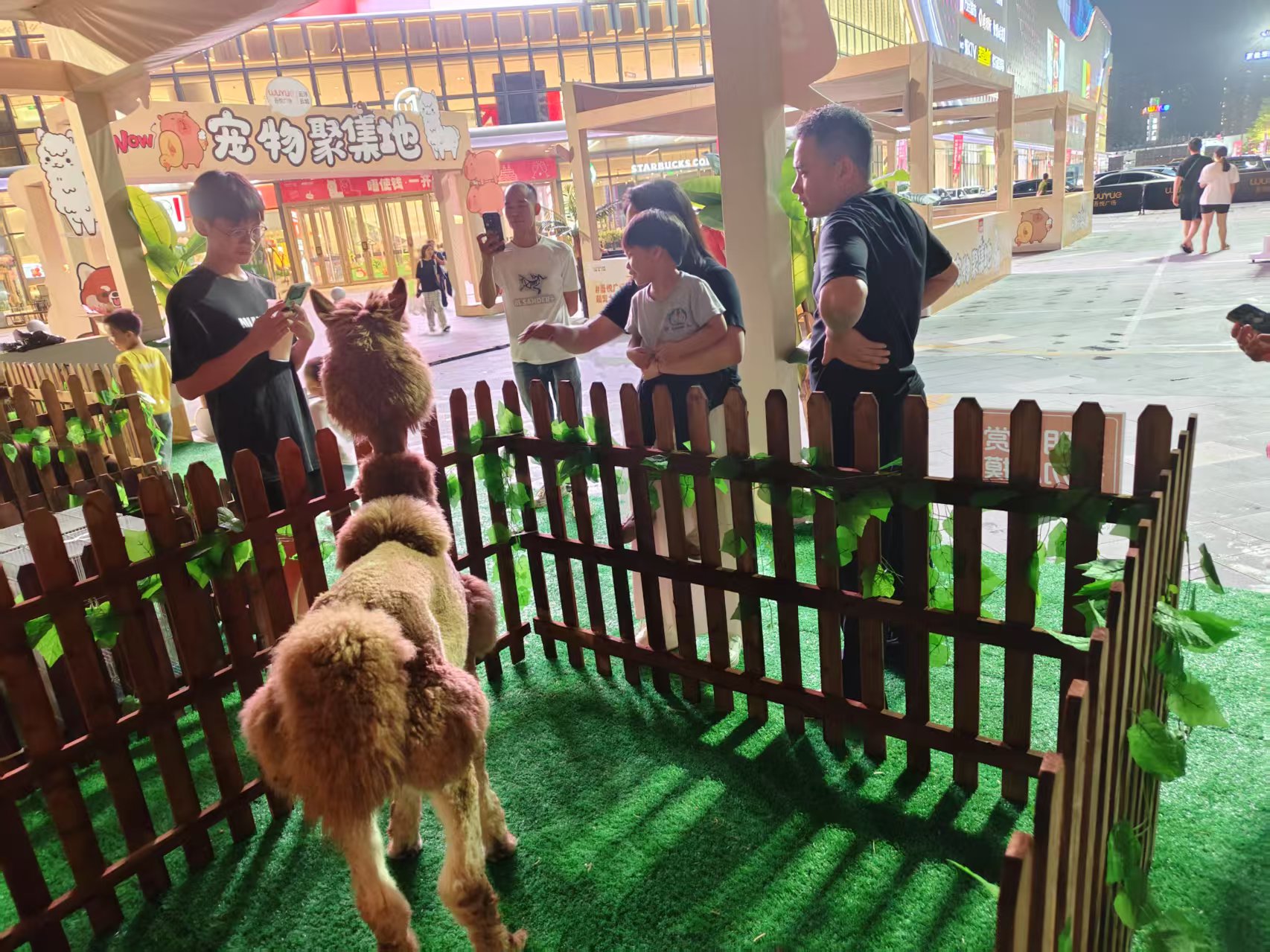 梧州萬秀商場暖場活動_來電咨詢