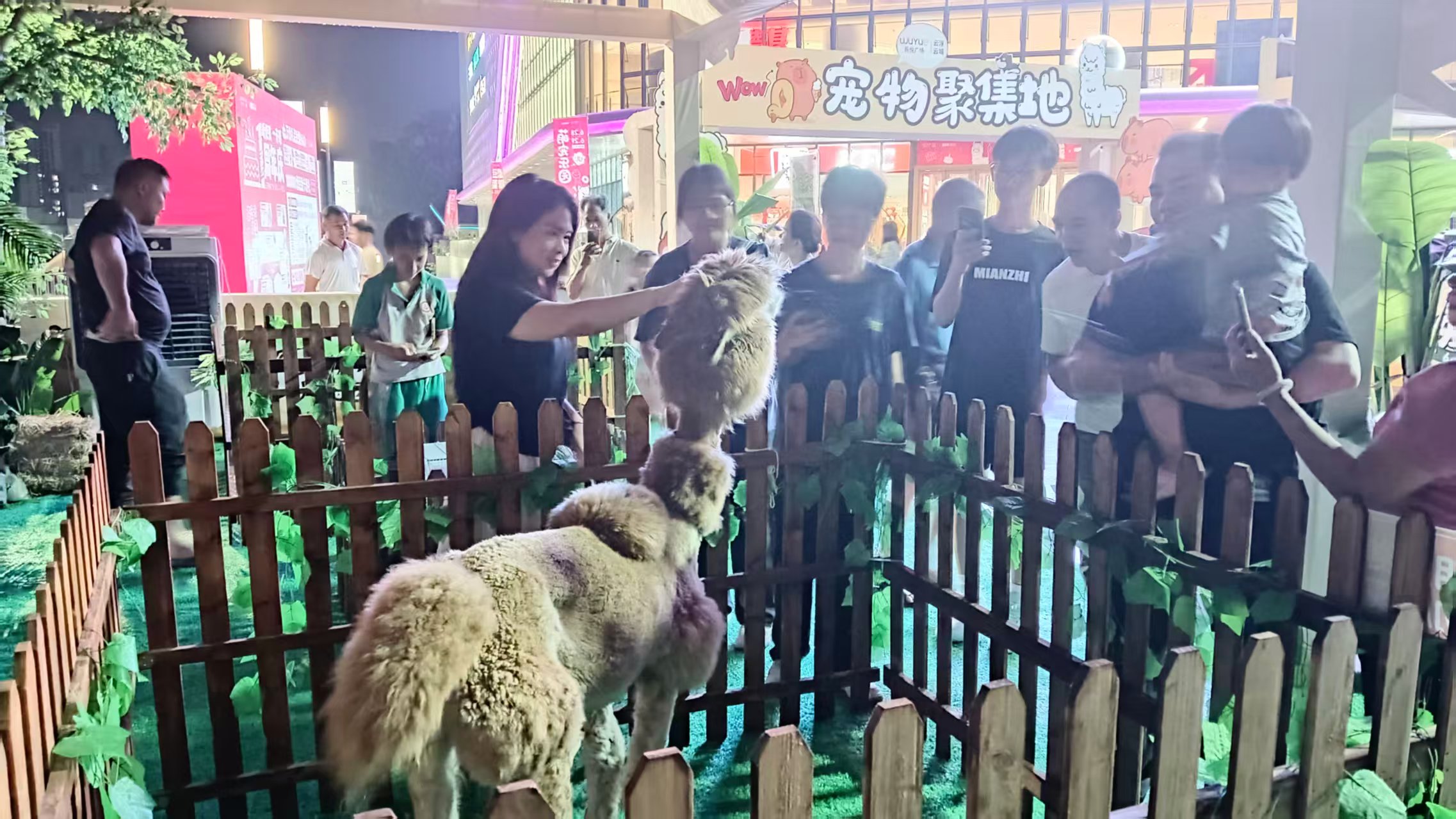 慶陽(yáng)慶城性價(jià)比高的景區(qū)活動(dòng)基地