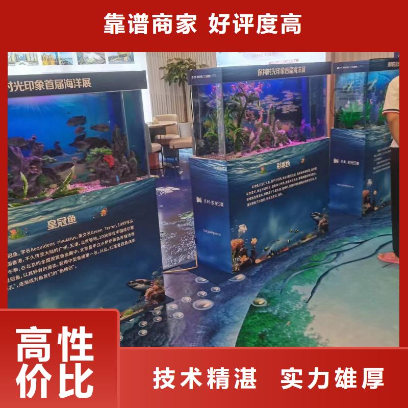 銅仁思南企鵝展覽品質(zhì)與價(jià)格