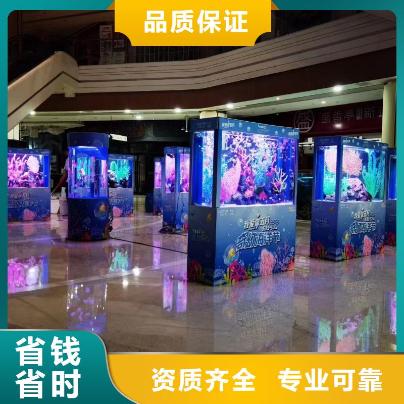 定制帽帶企鵝_生產(chǎn)廠家