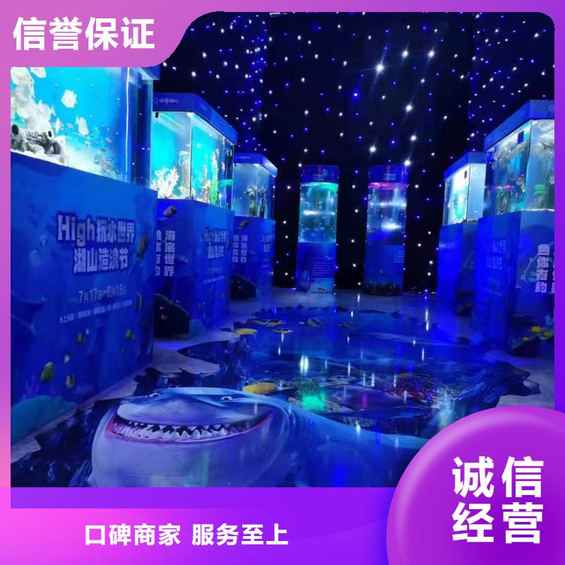 贛州尋烏企鵝展覽現(xiàn)貨供應(yīng)-可定制