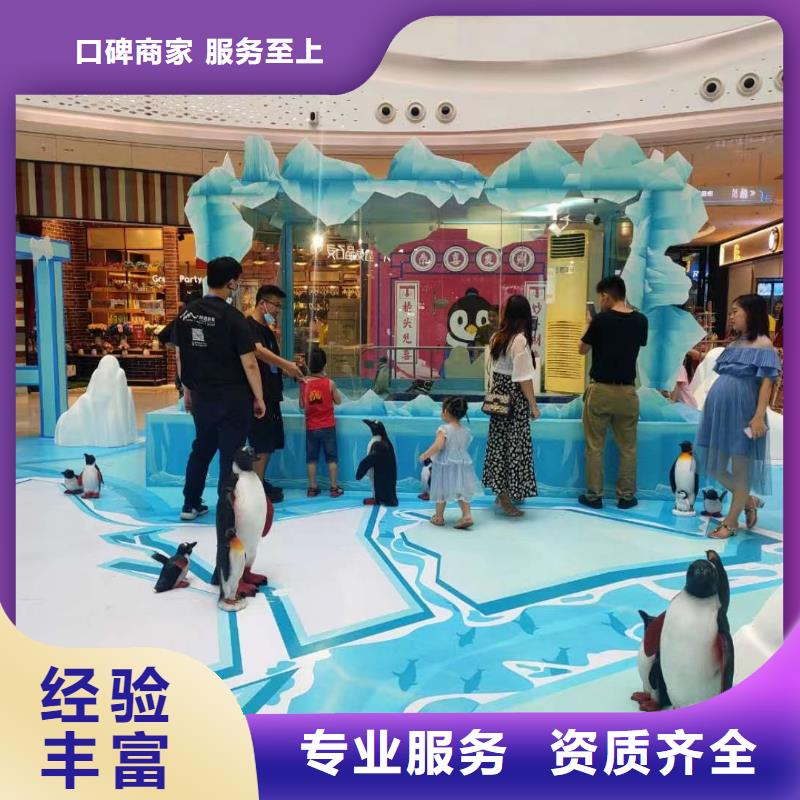 巴布亞企鵝品牌:兮洋動物展覽有限公司