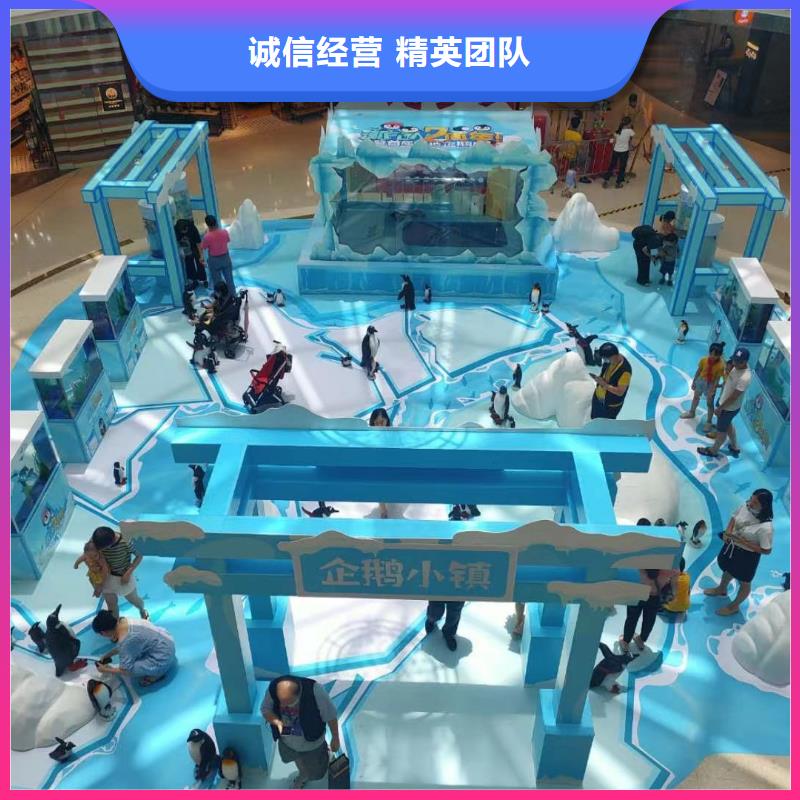 帽帶企鵝市場(chǎng)行情