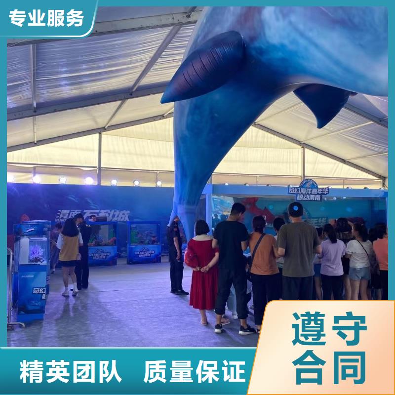 香港巴布亞企鵝廠家服務周到